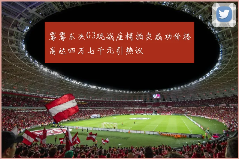 霉霉东决G3观战座椅拍卖成功价格高达四万七千元引热议