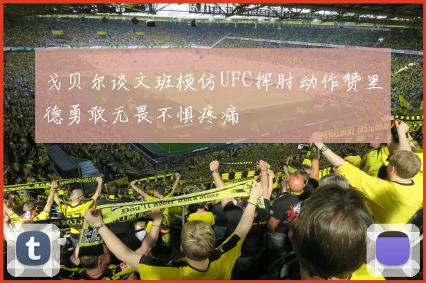 戈贝尔谈文班模仿UFC挥肘动作赞里德勇敢无畏不惧疼痛