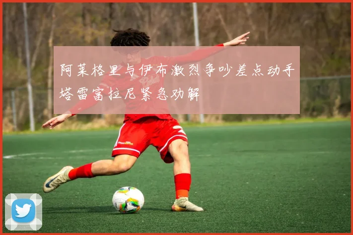 阿莱格里与伊布激烈争吵差点动手塔雷富拉尼紧急劝解