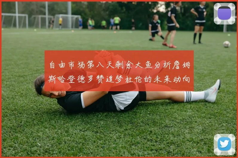 自由市场第八天剩余大鱼分析詹姆斯哈登德罗赞追梦杜伦的未来动向